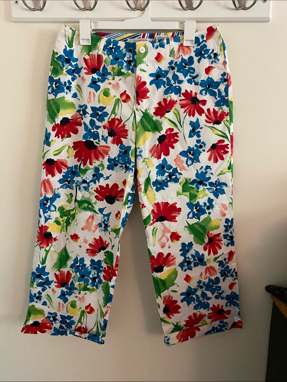 Evan Picone Multi-Color Watercolor Stripe Floral Pants